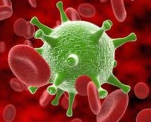 कंडाघाट में आया कोरोना संक्रमण का मामला, नौ दुकानों व बेसन के स्टोर सहित आंगनबाड़ी सेंटर सील