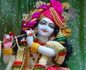 जन्माष्टमी पर्व मनाने का बदला अंदाज़,सोशल मीडिया पर दिखी धूम 