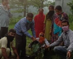 माँगल में कुछ इस तरह मनाया गया श्री कृष्ण का जन्मोत्सव  