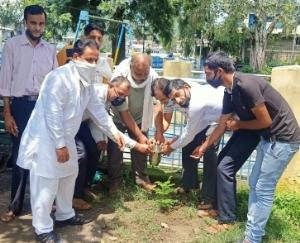 हमीरपुर कांग्रेस ने स्वतंत्रता दिवस पर किया पौधरोपण 