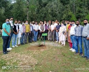 भाजयुमो सोलन द्वारा किया गया पौधरोपण