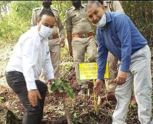 plantation-programme-organized-in-sirmaur