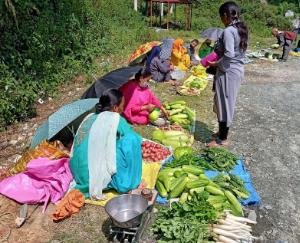 Women-power-is-giving-strength-to-its-economy-by-selling-roadside-vegetables