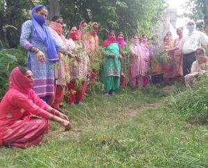 Cleanliness-campaign-started-in-Dhyanpur-village