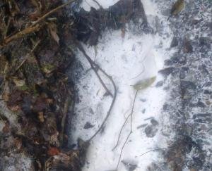 Villagers-demand-to-start-construction-work-of-old-irrigation-scheme