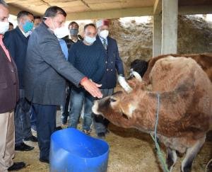 प्रदेश सरकार प्राकृतिक कृषि को बढ़ावा देने एवं भारतीय नस्ल की गाय के संरक्षण के लिए कृतसंकल्प- वीरेन्द्र कंवर