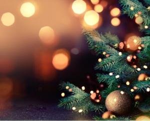 rudra-public-school-celebrates-christmas-online