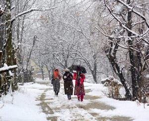 rainfall-in-himachal 
