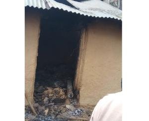 fire-in-karsog-cattle-burned-to-death