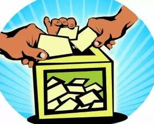 नगर पंचायत अर्की के सभी 07 वार्डों का चुनाव परिणाम घोषित