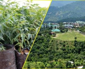 Open sale of plants to start in Nauni Univ from Jan 18