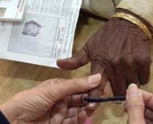 polling-in-third-phase-in-Solan