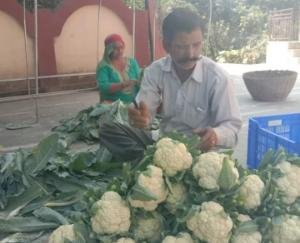 Irrigation facility and crop diversification increased farmers income 