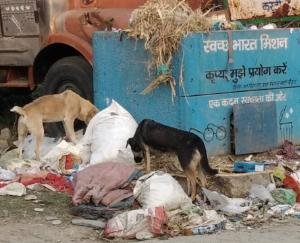 Cleanliness campaign fails in Bhati Bohan Panchayat publicly