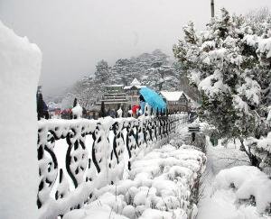 First-snowfall-of-the-year-engulfs-Shimla-temperature-dips 
