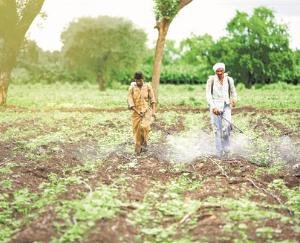 Government-plans-to-improve-farmers-income-by-JICA-Project-2