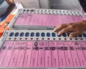 Congress dominates Punjab Municipal elections, counting continues
