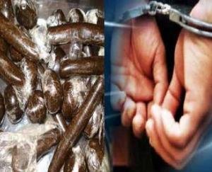 Kullu police arrested two Haryana youths with a kilo of 464 grams of charas