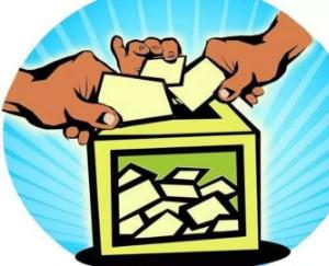 total 73 nominations were submitted for Municipal Corporation Solan