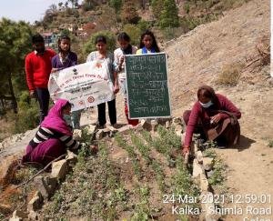 Nutrition message given by setting up a nutrition garden